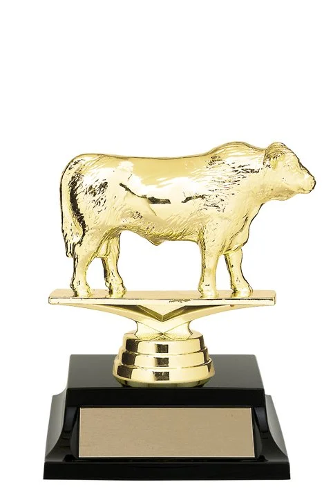 angus_bull-trophy1.jpg