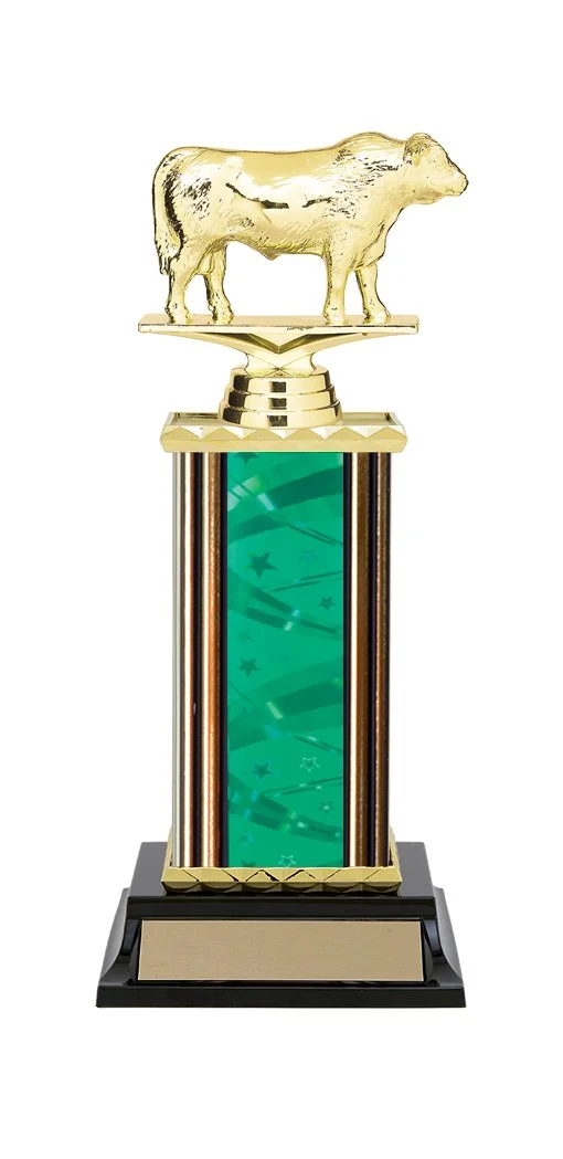 angus_bull-trophy3.jpg