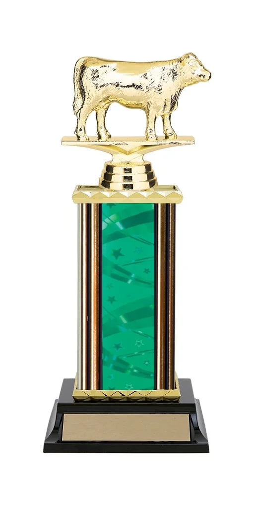 Angus Cow Trophy 11" (Includes Engraving)