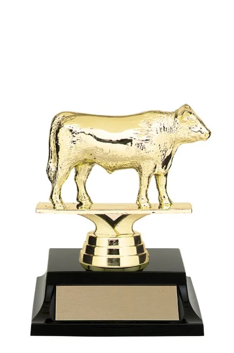 angus-steer-trophy-2.jpg