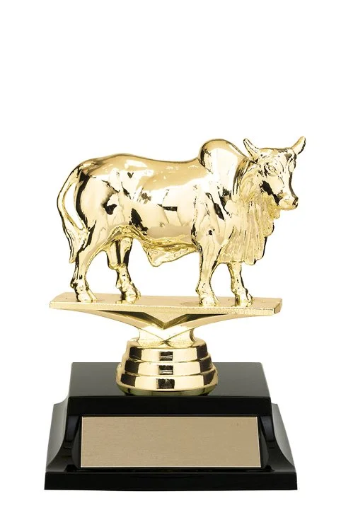 brahman-bull-trophy-2.jpg