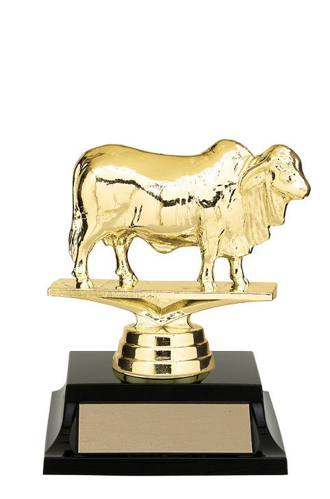 brahman-cow-trophy-2.jpg
