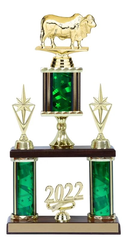brahman-cow-trophy-1.jpg