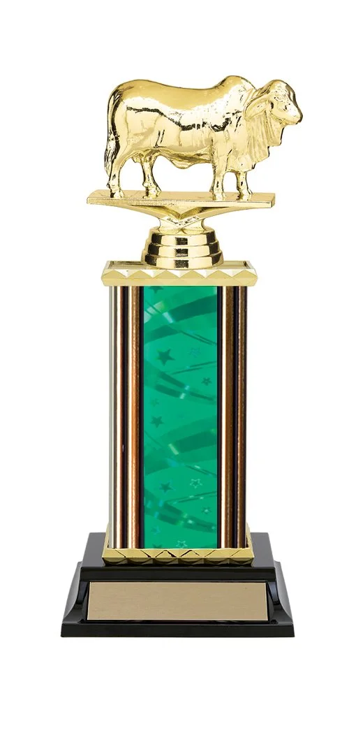 brahman-cow-trophy-3.jpg