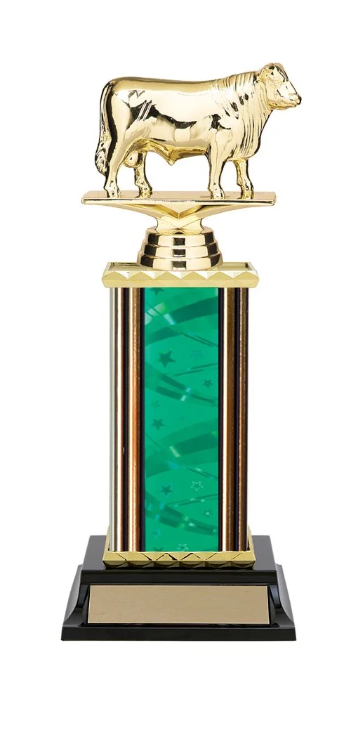 dairy-bull-trophy-3.jpg