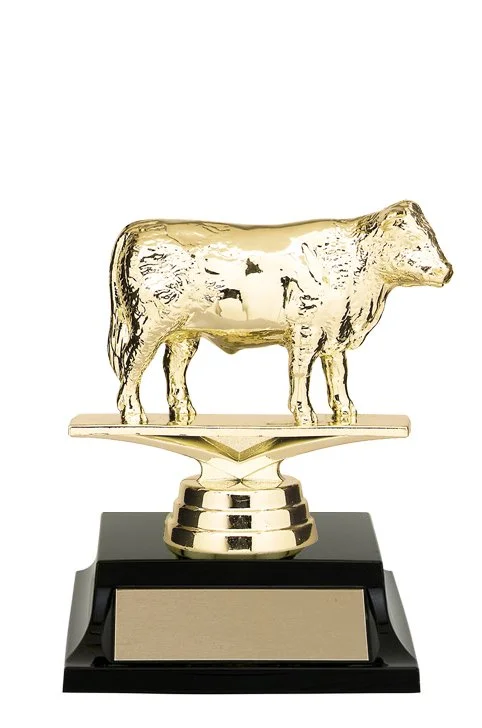 hereford-steer-trophy1.jpg