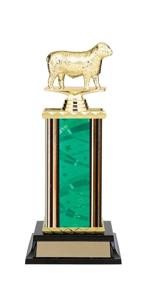 sheep-trophy-3.jpg