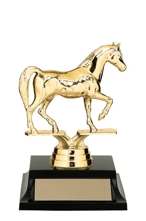 arabian-horse-trophy2.jpg