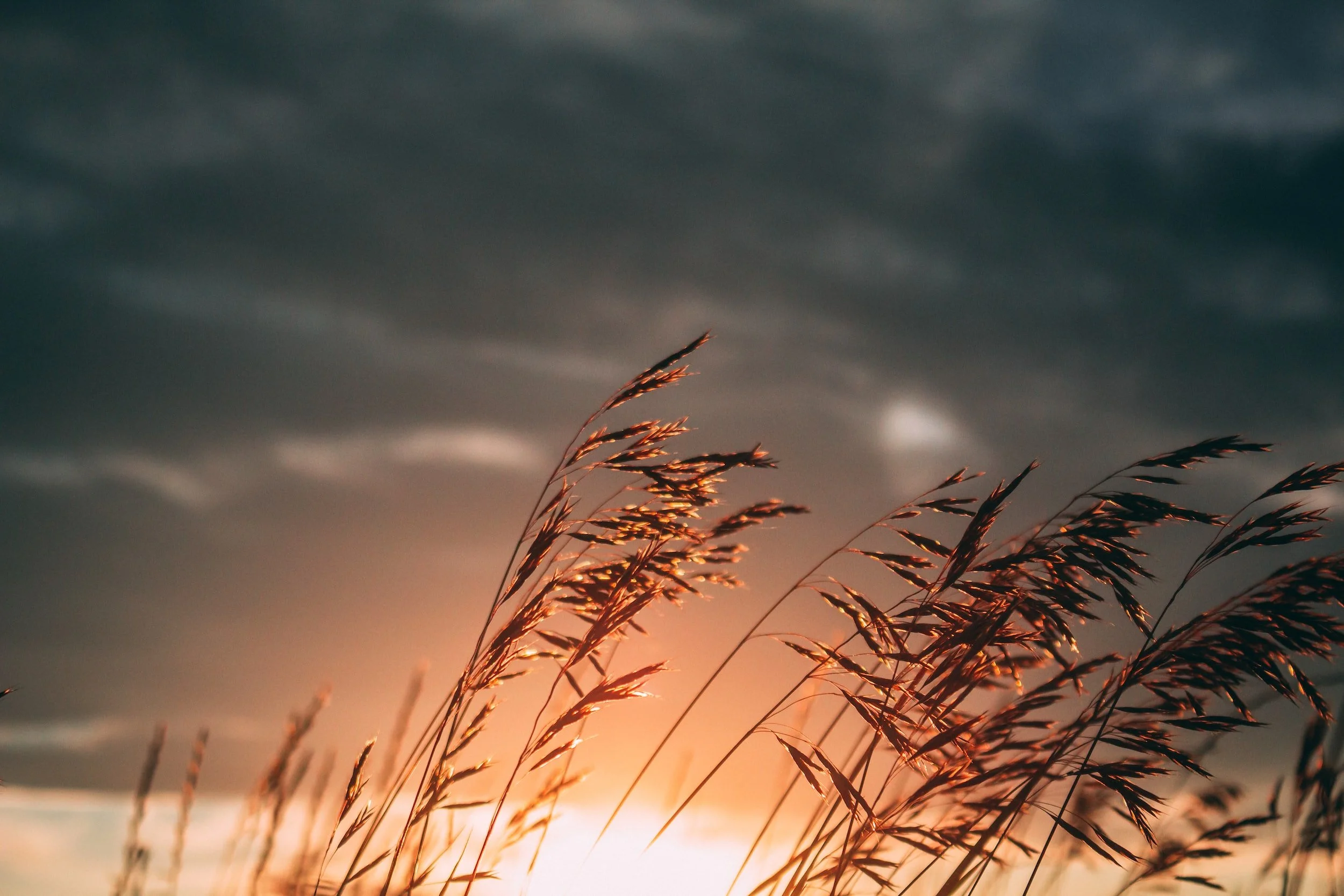 unsplash-image-8PfynTtgTvY.jpg