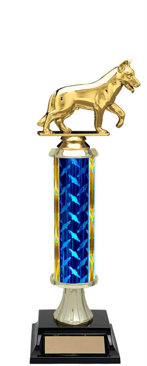 DT.png