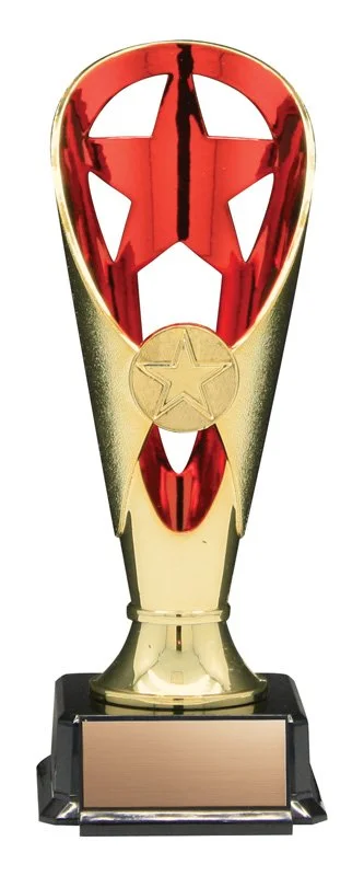 Fire & Ice Star Soccer Trophy- 2 Sizes, 2 Colors (Includes Engraving)