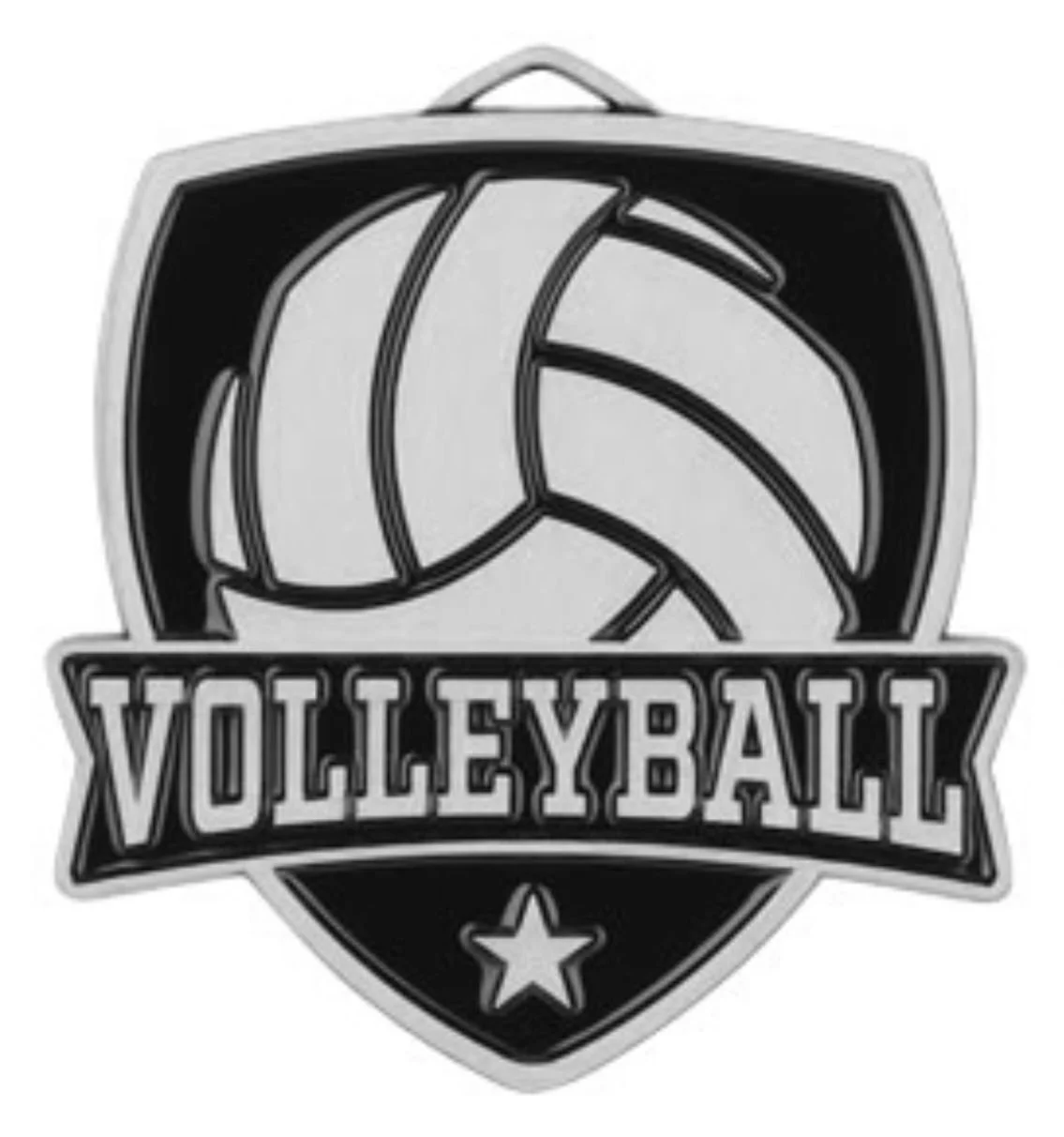 silver vball medal.jpg