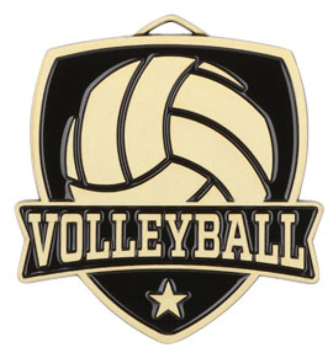 gold vball medal.jpg