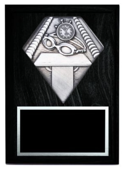 Diamond Series Swimming Plaque- 2 Sizes (Includes Engraving)