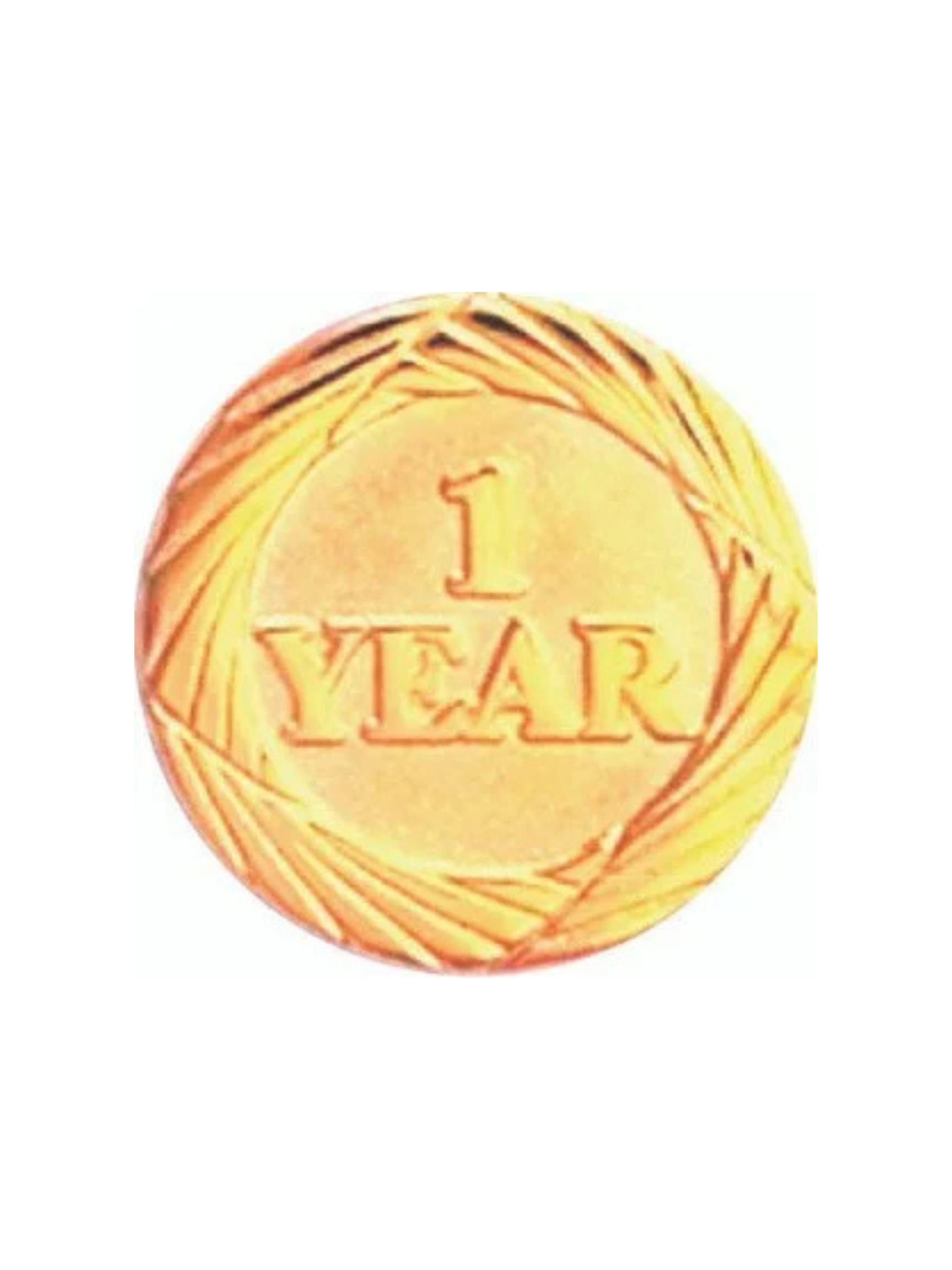 Gold 1 Year of Service Pin