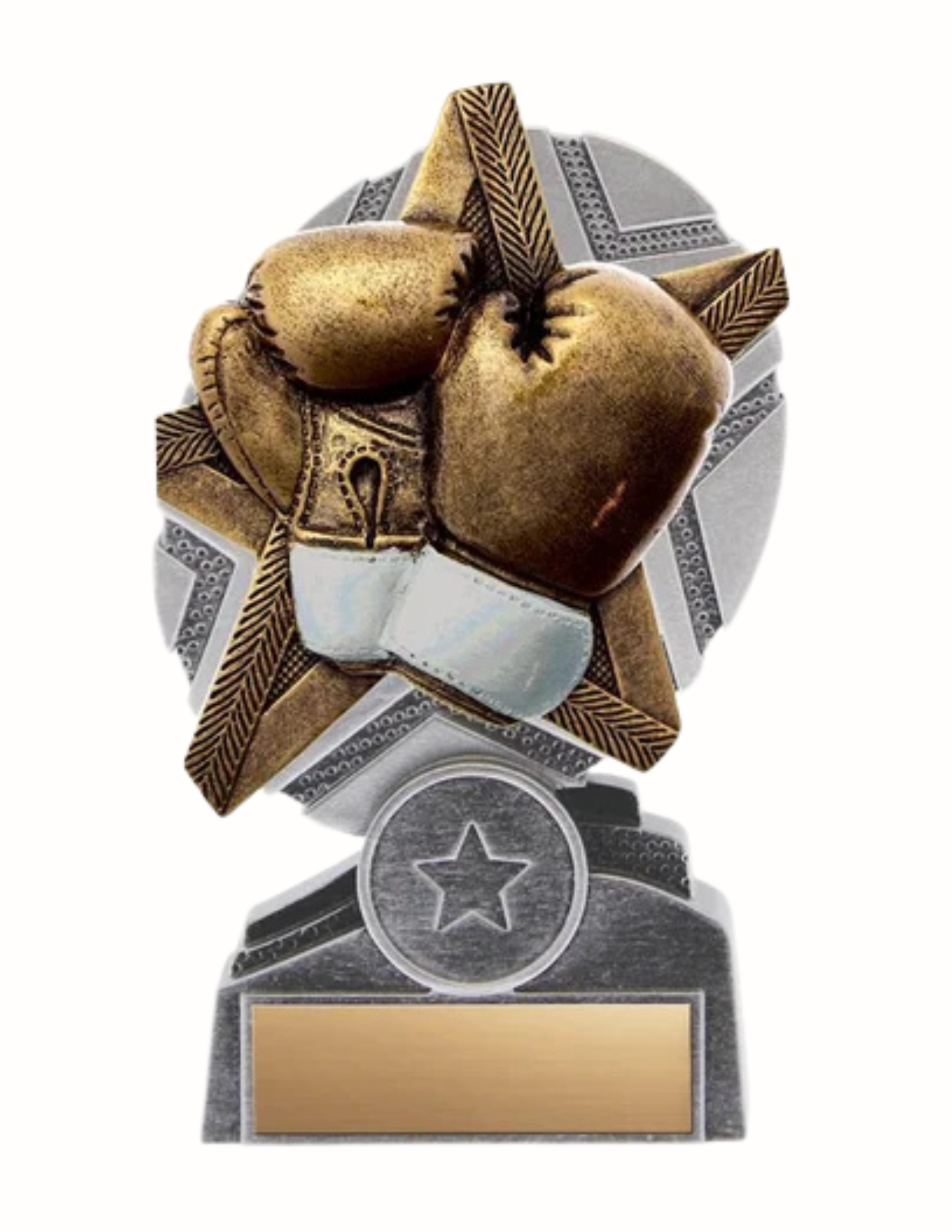 ProStar Series Boxing Award-3 Sizes (Includes Engraving)