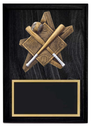 Pro Star Baseball Plaque- 2 Sizes (Includes Engraving)