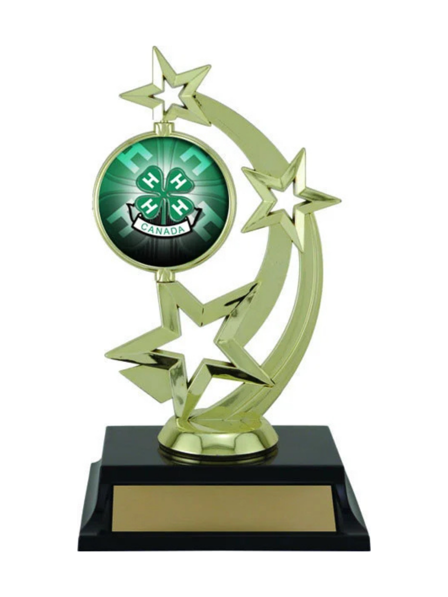 Gold Spinning 4-H Trophy