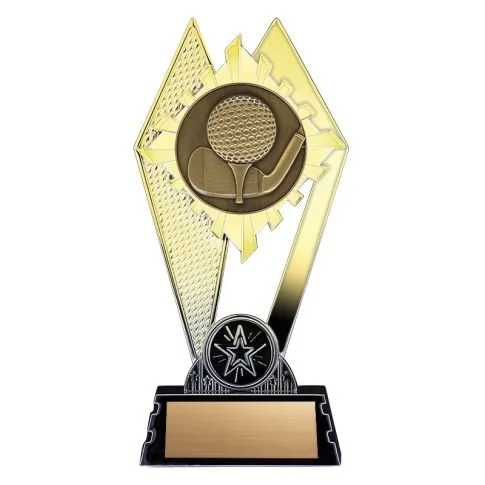 citadel golf gold 1.jpg