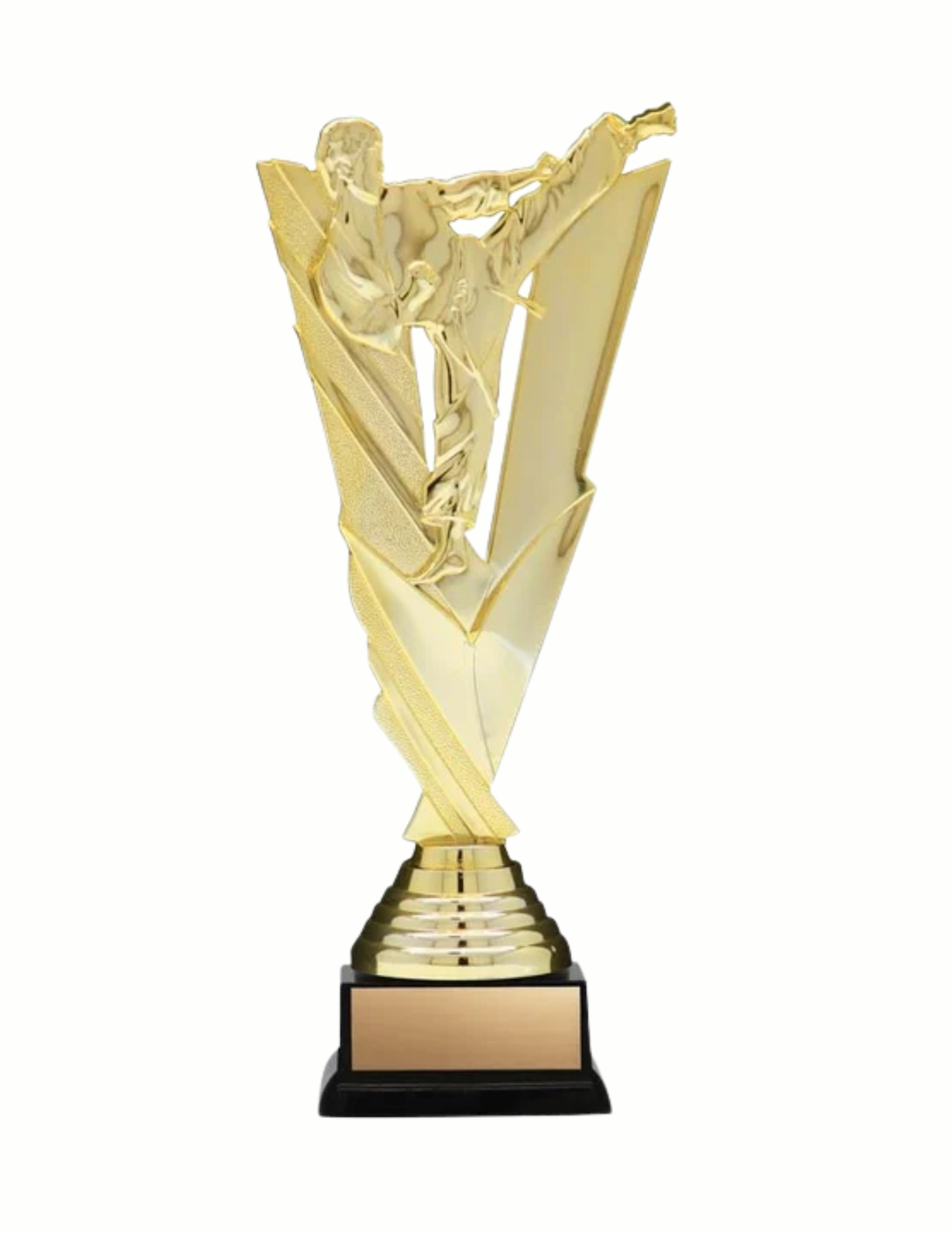 Victory Series Martial Arts Trophy