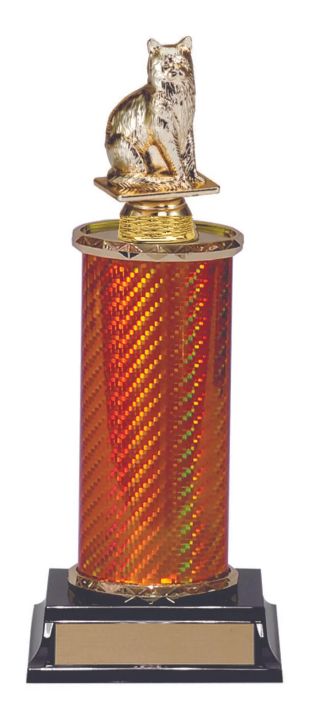halloween cat trophy.jpg