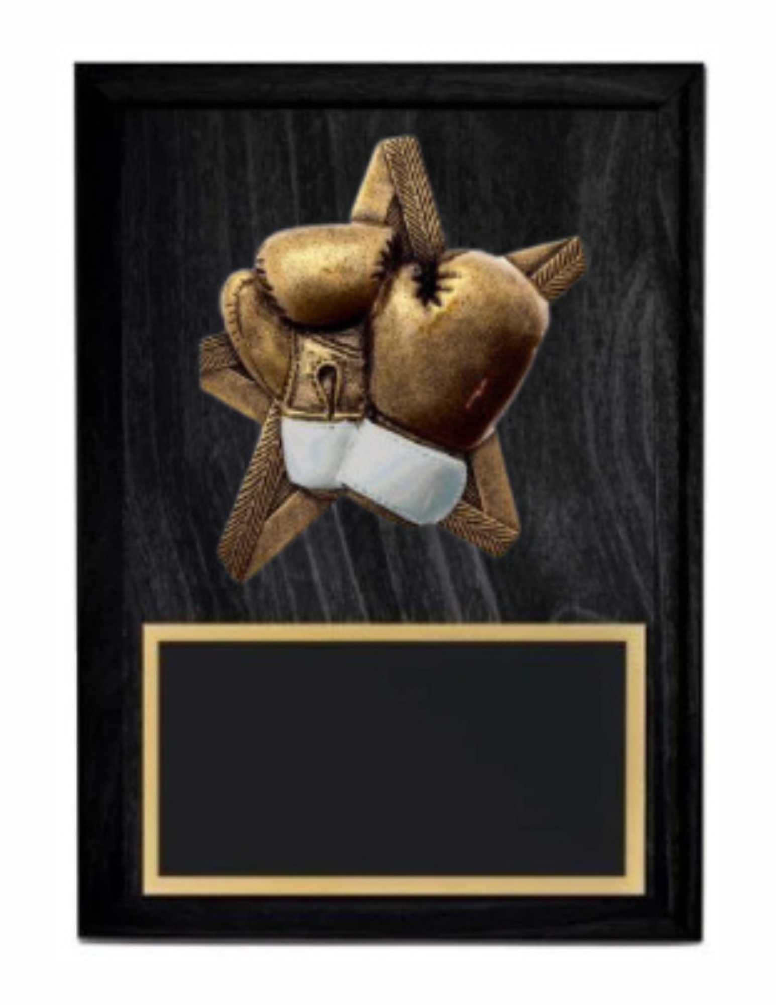 Pro Star Boxing Plaque- 2 Sizes (Includes Engraving)