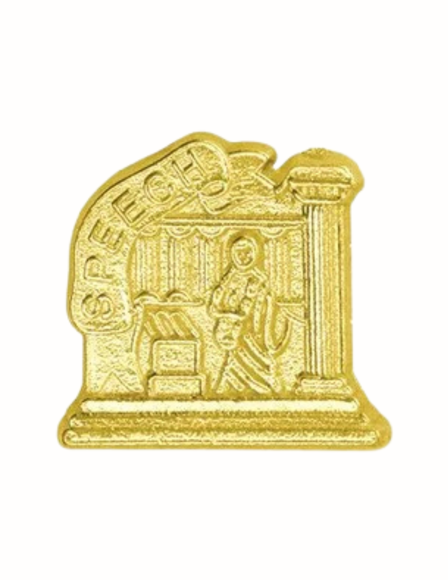 Debate Chenille Pin