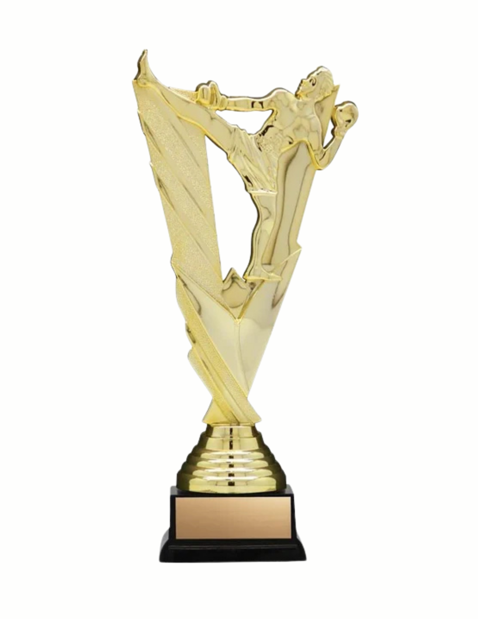 Victory Series MMA Trophy