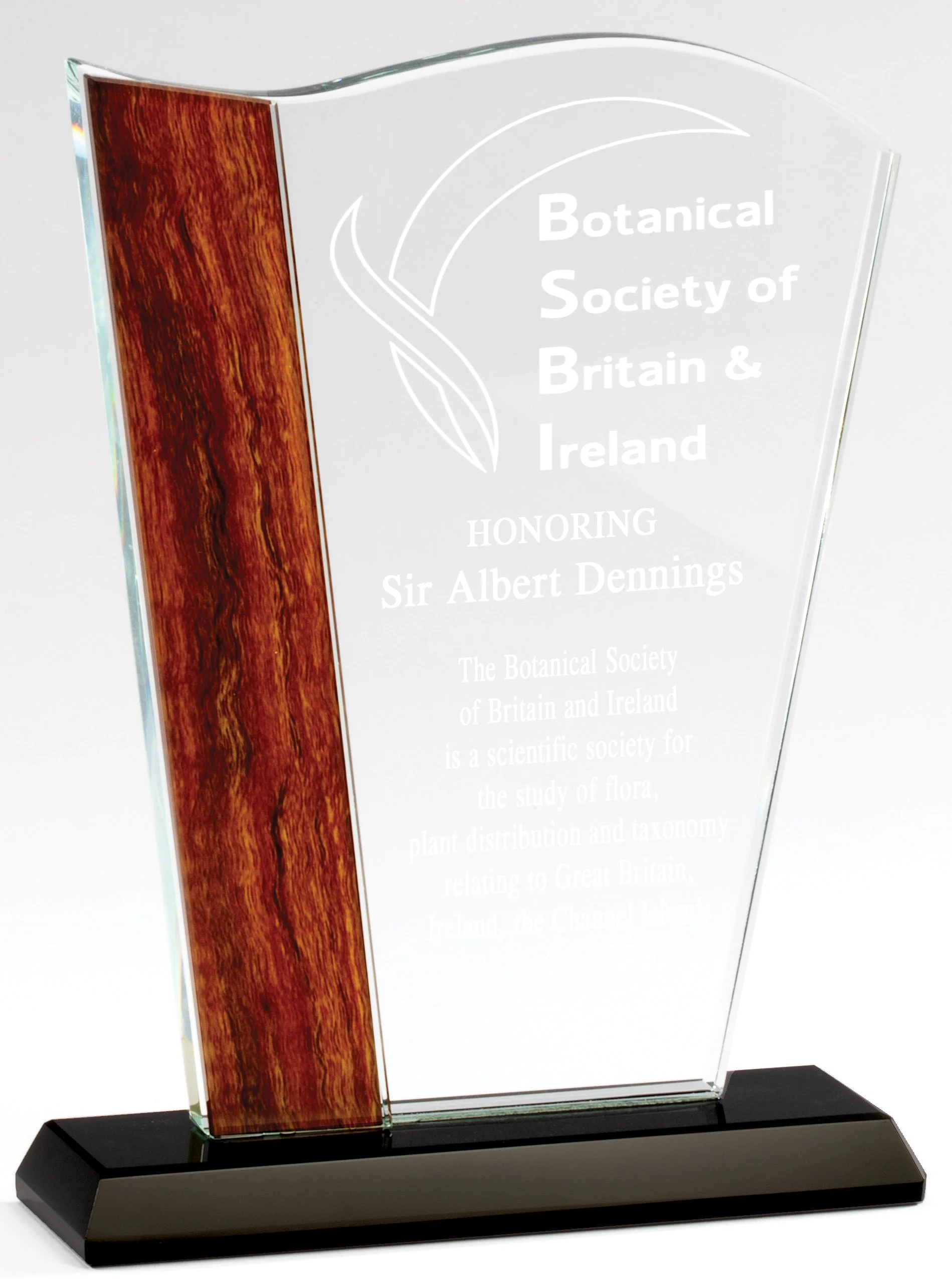 Rustic Wave Crystal Award- 2 Sizes (Includes Engraving)
