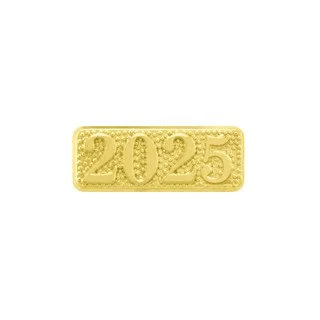 2025 Chenille Pin