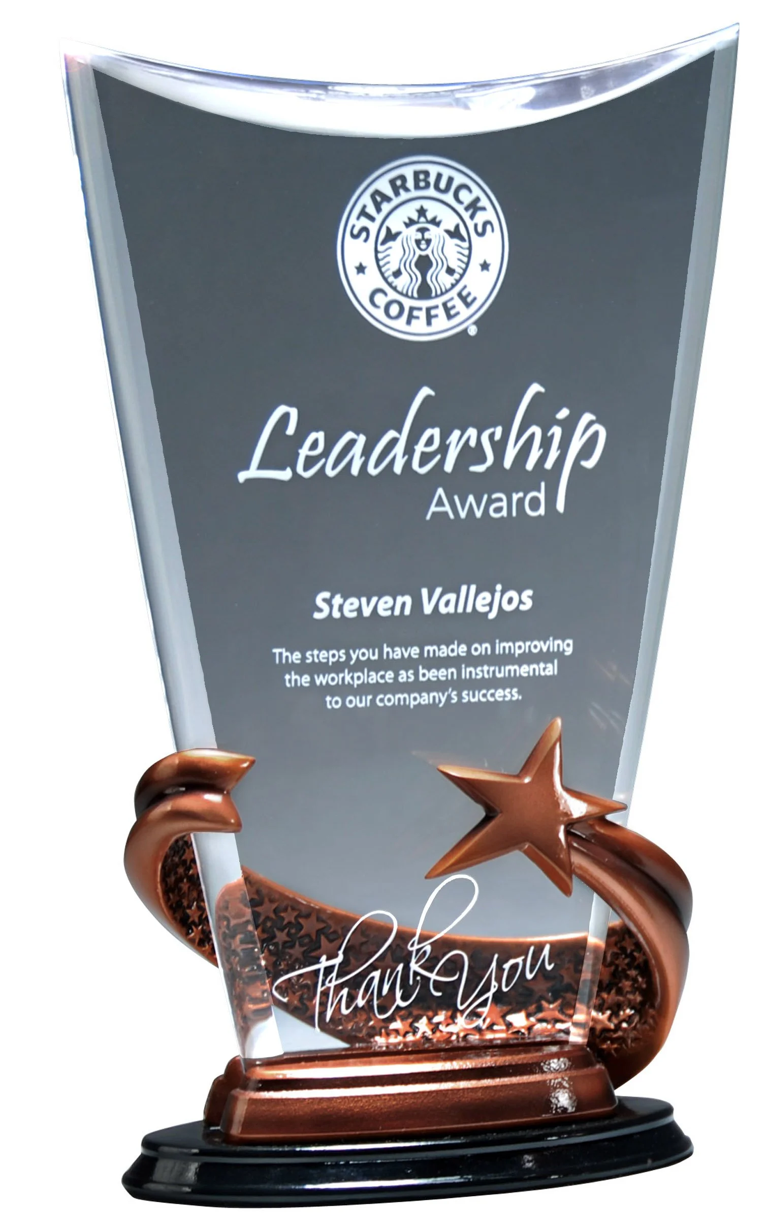 Curved Bronze Brilliance Awards Star Award 10.5"- 2 Variants (Includes Engraving)