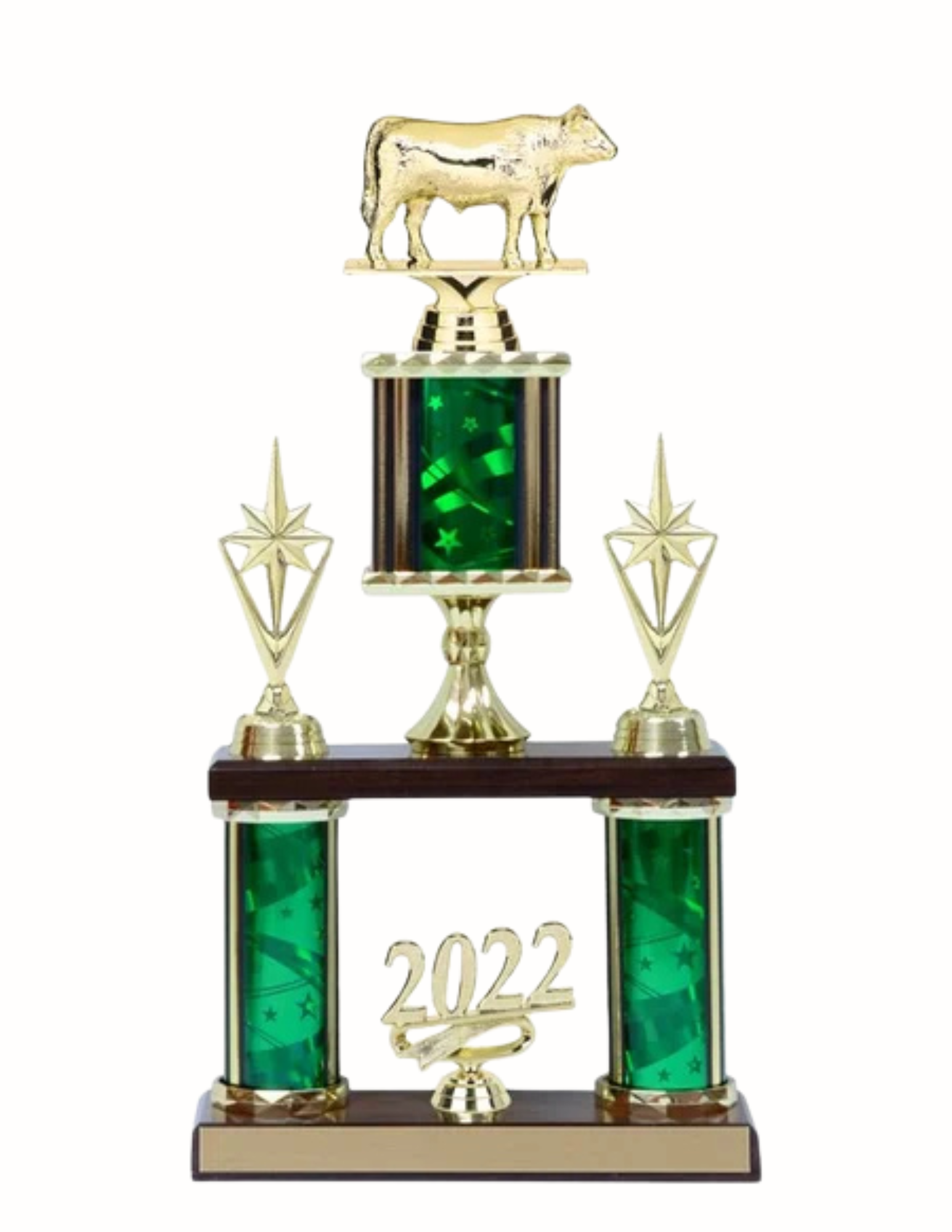 Angus Steer Trophy 16"