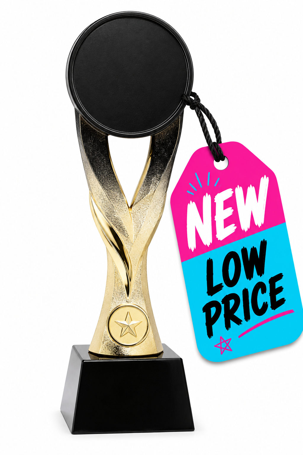 Meridian Hockey Fusion Trophy 10.25"- Gold and Silver (Includes Engraving)