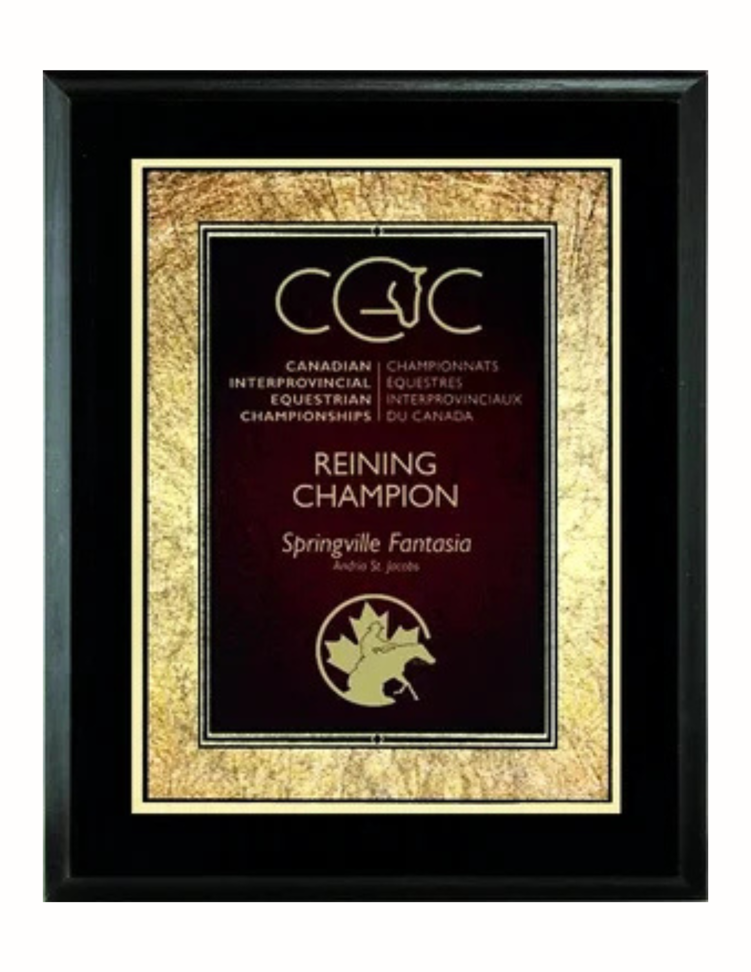 Red Art Plaque
