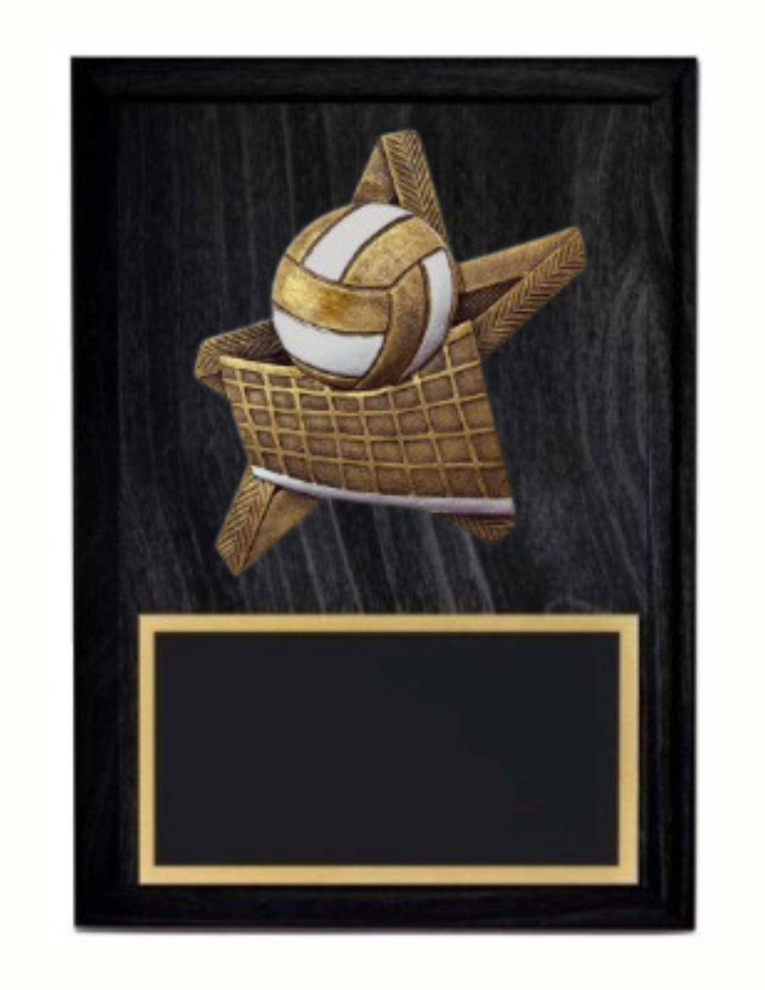 Pro Star Volleyball Plaque