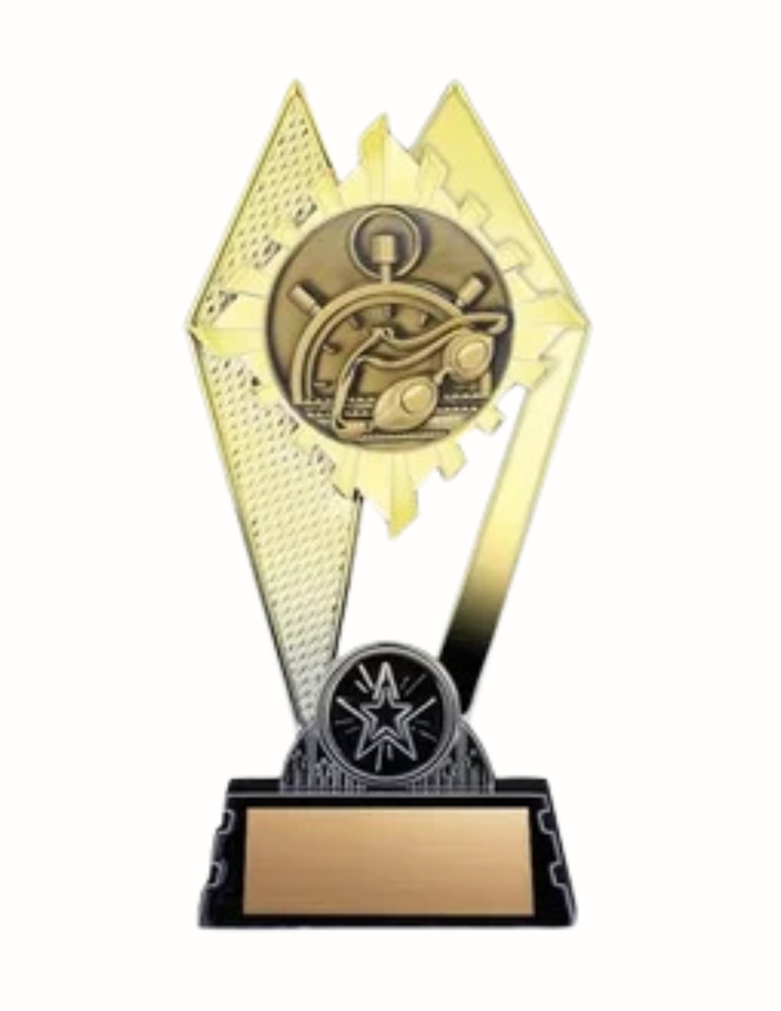 Citadel Swimming Trophy