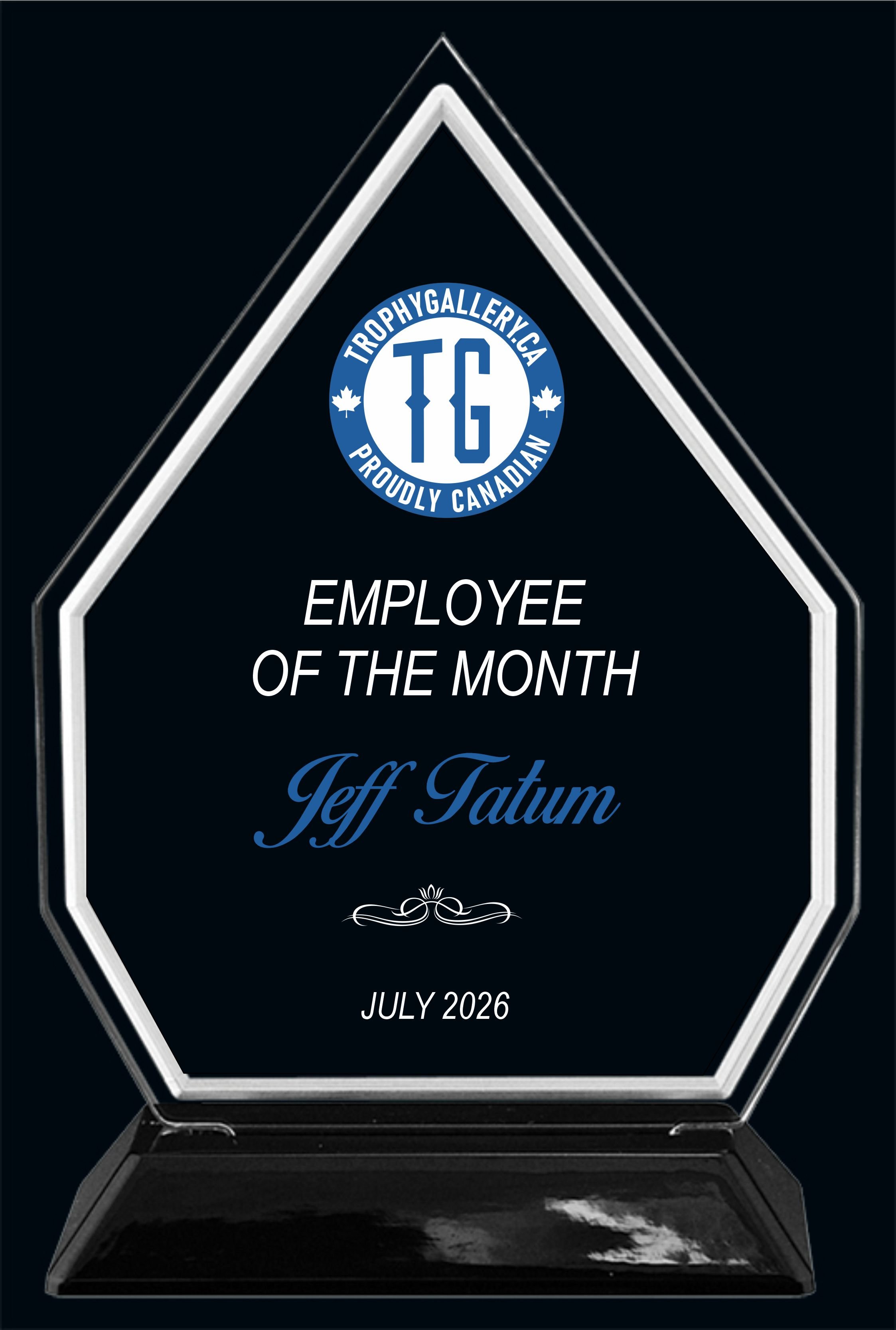 Snap in Diamond Award.jpg