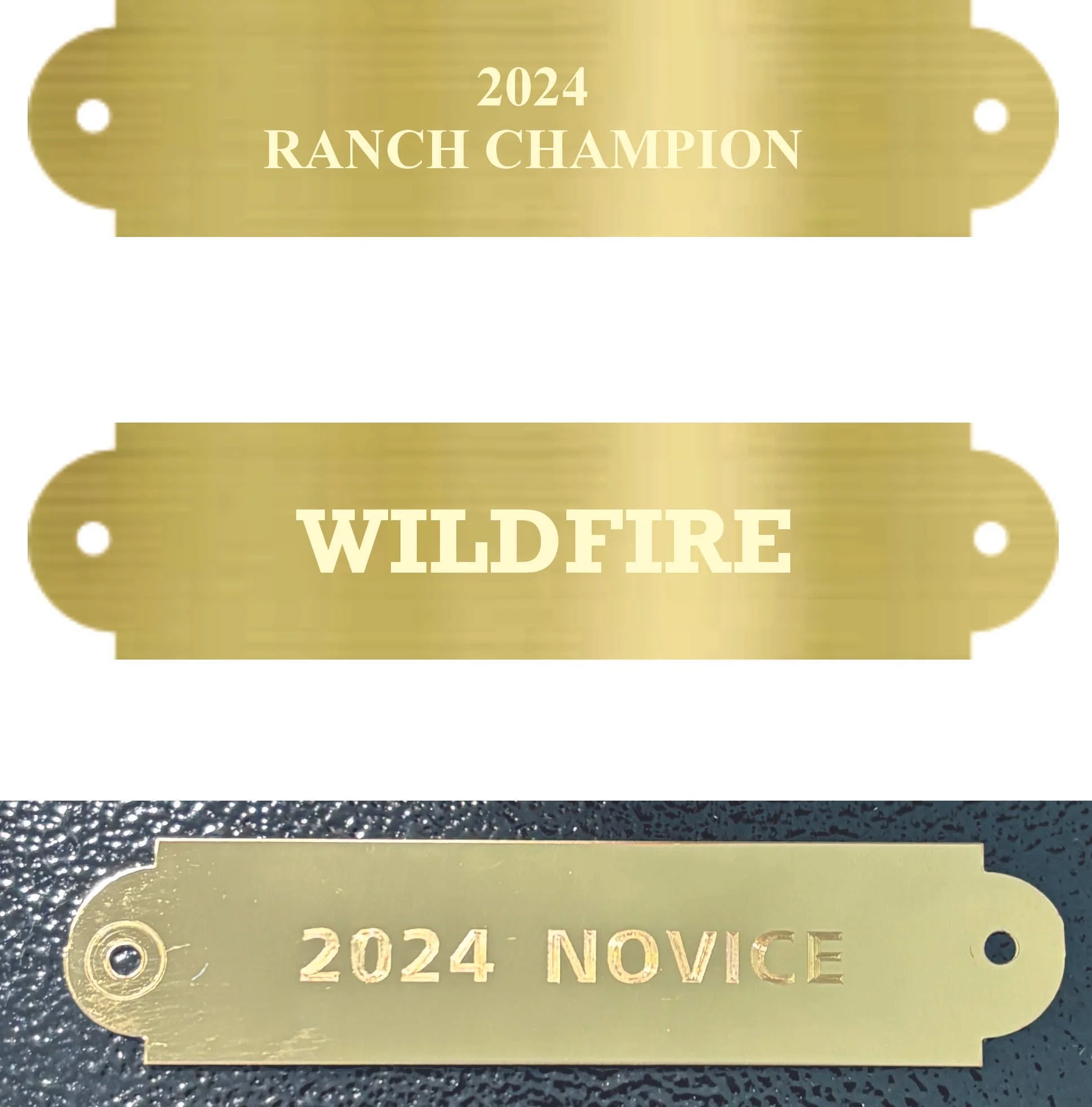 Halter Name Plate for Horse Saddle (Includes Deep Engraving)