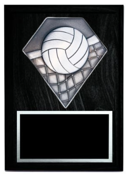 Diamond Series Volleyball Plaque- 2 Sizes (Includes Engraving)