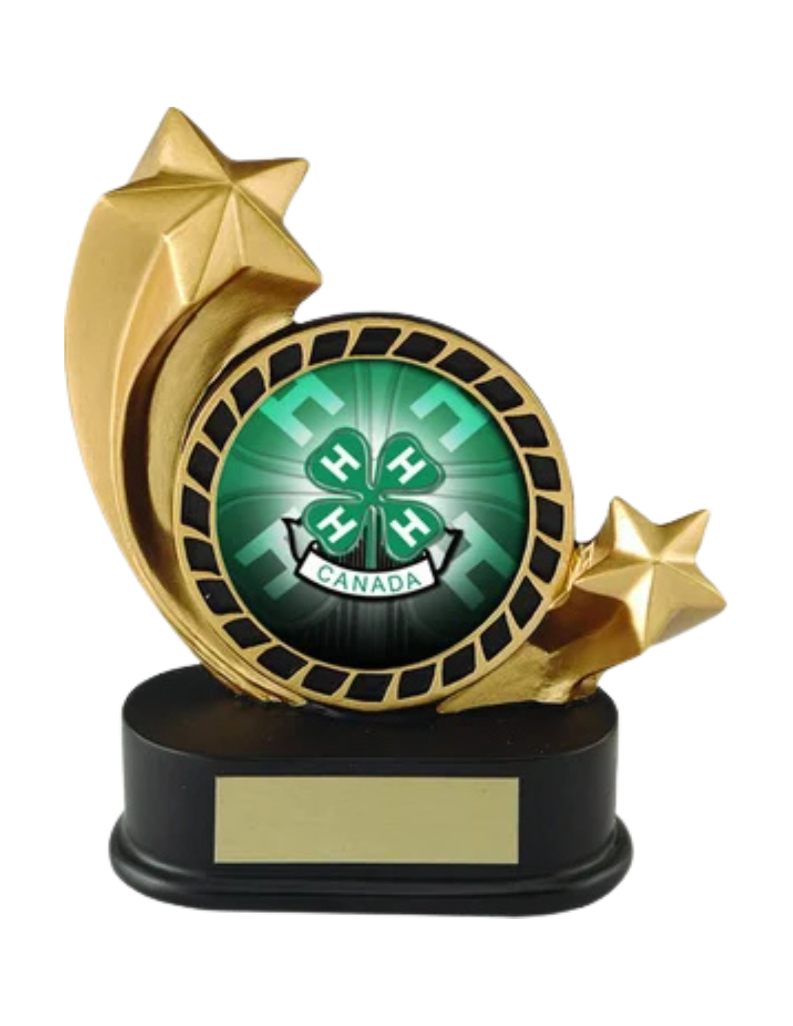 Shooting Star 4-H Award- 3 Sizes (Includes Engraving)