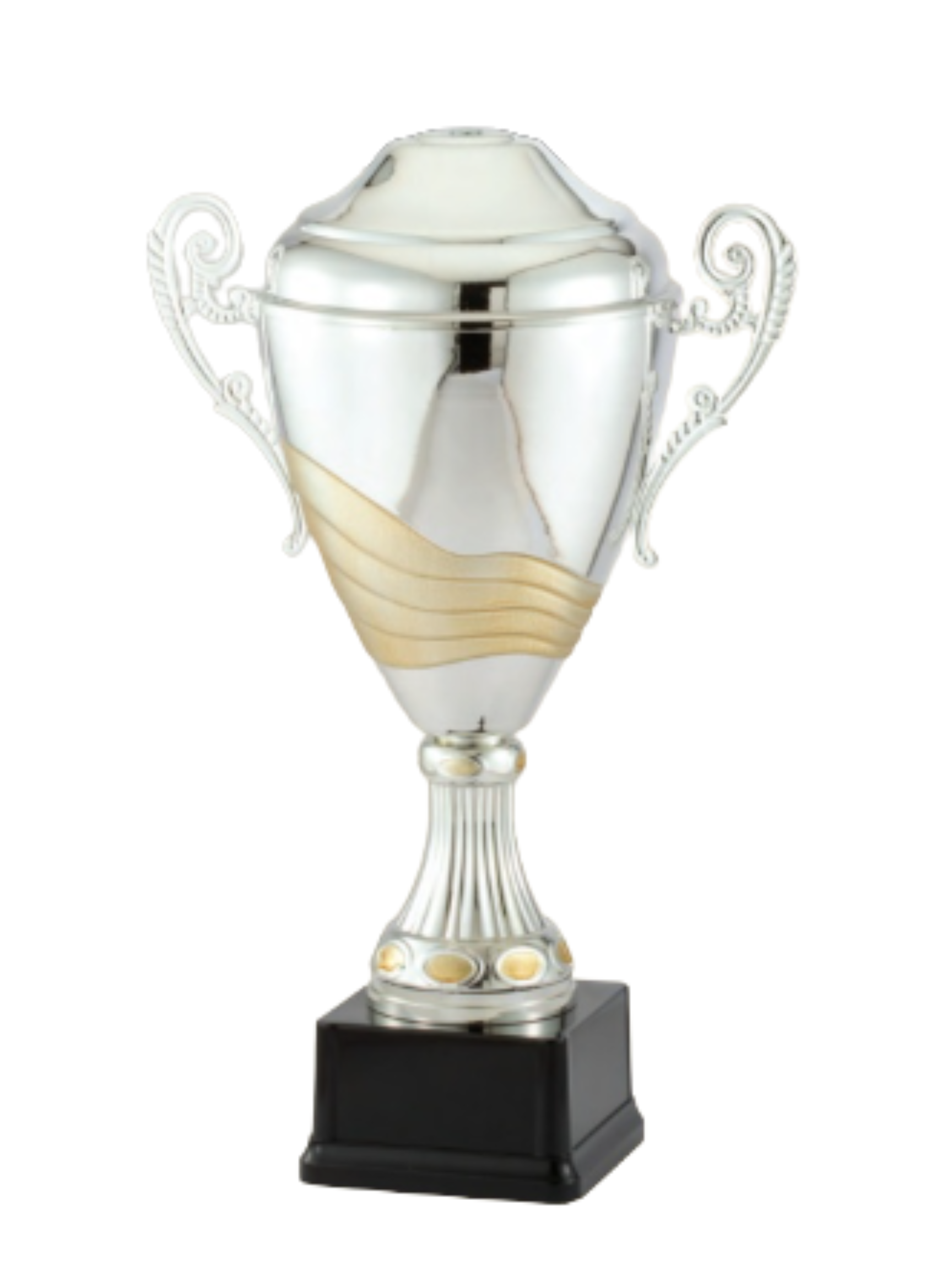Untitled design (1).png