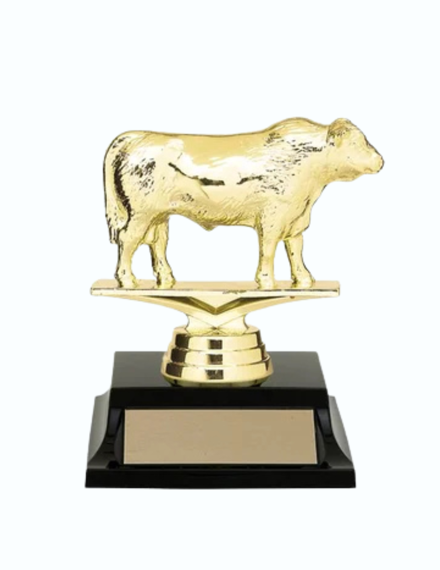 Angus Bull Trophy 4.5" (Includes Engraving)