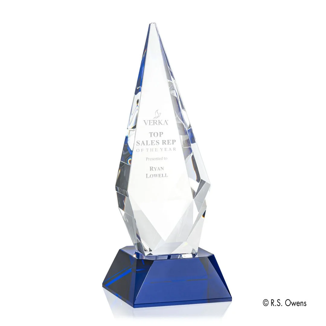 Vector Award blue.jpg