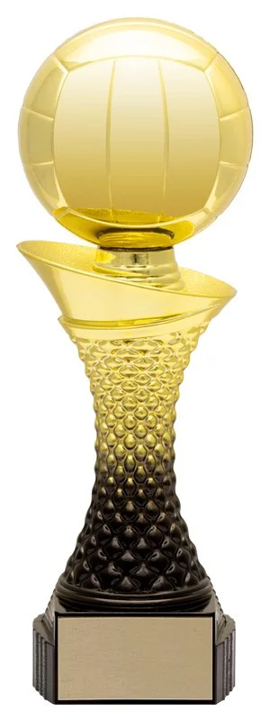 Valour Volleyball Trophy- 2 Sizes (Includes Engraving)