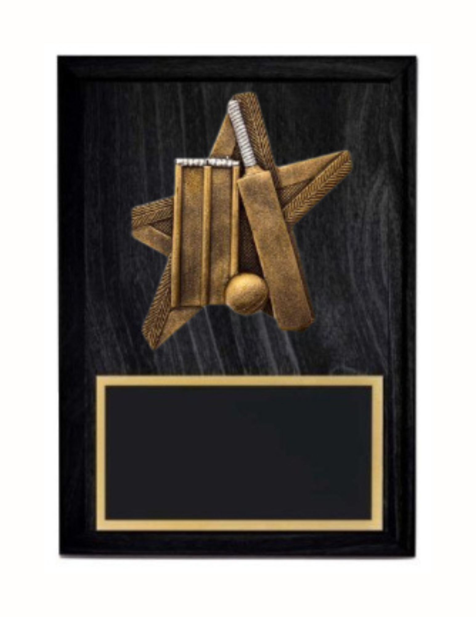 Pro Star Cricket Plaque- 2 Sizes (Includes Engraving)