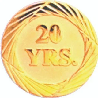 Gold 20 Years of Service Pin