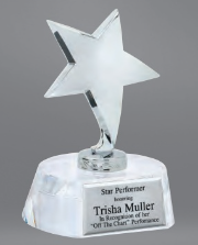 Chrome White Cap Crystal Award 4.5" x 5.75" (Includes Engraving)