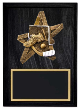 Pro Star Ball Hockey Plaque- 2 Sizes (Includes Engraving)