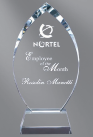 Finn Crystal Award 10.5" (Includes Engraving)