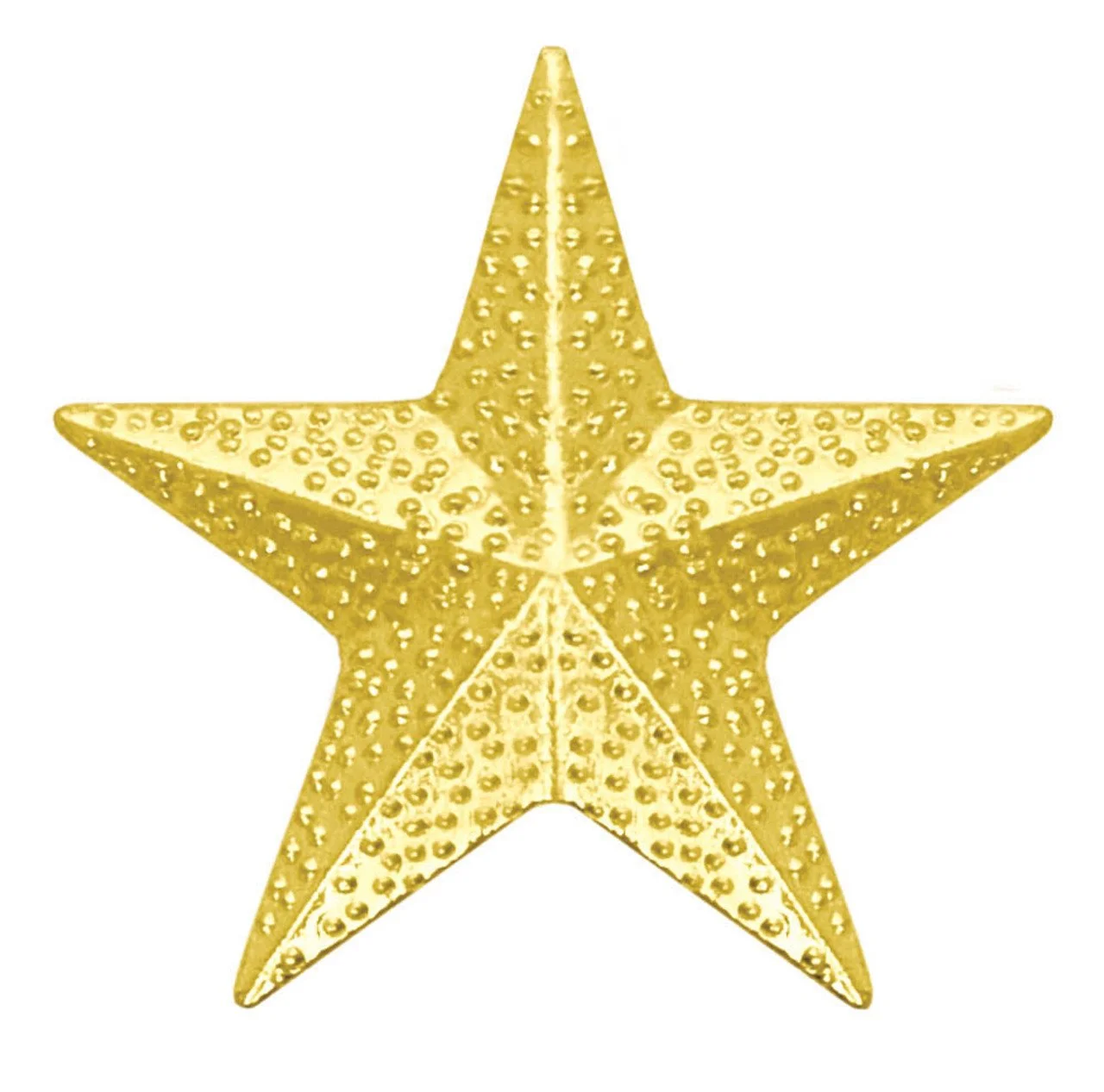 Star Chenille Pin